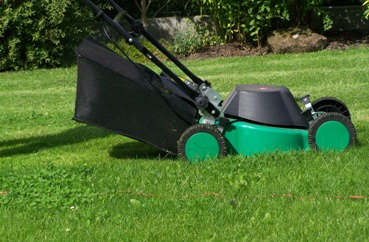 Lawn Mower